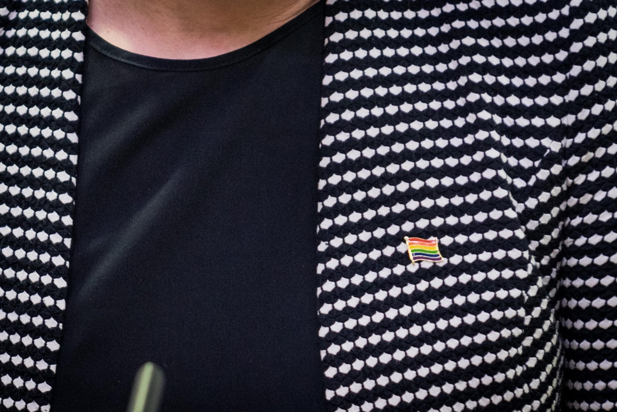 LGBT ženkliukas premjerės Ingridos Šimonytės