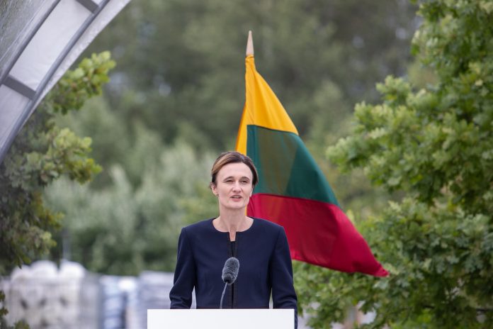 Seimo Pirmininkė Viktorija Čmilytė-Nielsen / BNS nuotr.