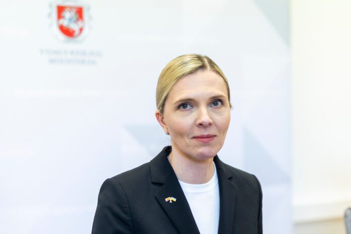 Vidaus reikalų ministrė Agnė Bilotaitė / BNS nuotr.