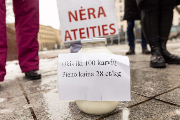 Pienininkų protestas prie Vyriausybės Vilniuje kovo 8 d. / BNS nuotr.