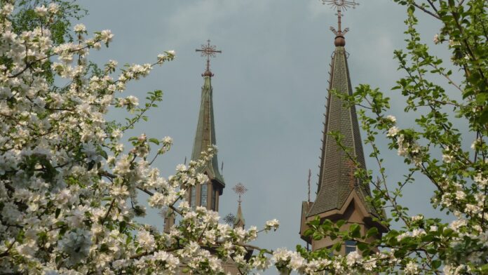 Klaipėdos Marijos Taikos Karalienės bažnyčia / Soc. tinklų nuotr.