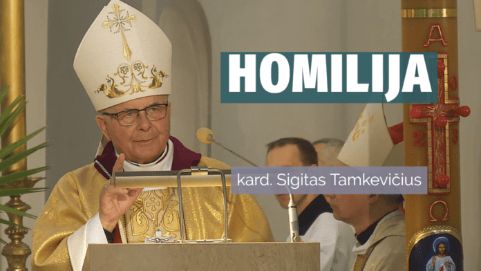 Kardinolas Sigitas Tamkevičius / Dievo Gailestingumo šventovės nuotr.