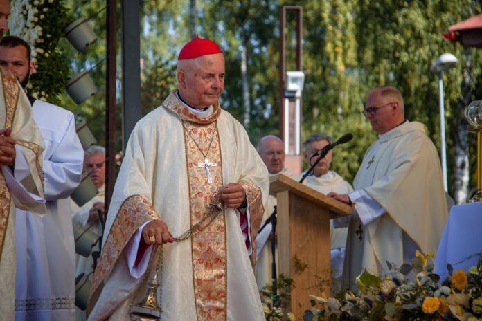 Kardinolas Sigitas Tamkevičius SJ / Agnietės Čisler nuotr.