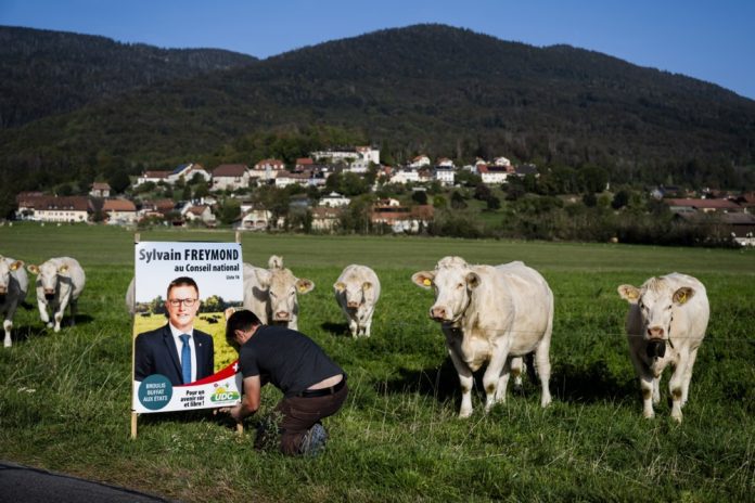 Ūkininkas ir Šveicarijos liaudies partijos (SVP) kandidatas Sylvainas Freymondas deda rinkiminį plakatą Šveicarijos federalinių rinkimų lauke netoli Morgeso esančiame Montrichero mieste, Šveicarijoje / EPA nuotr.