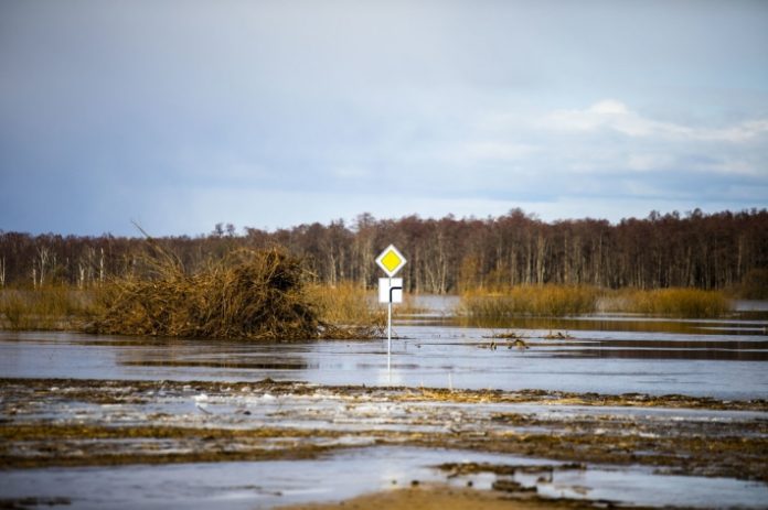 Šilutės rajonas / BNS nuotr.