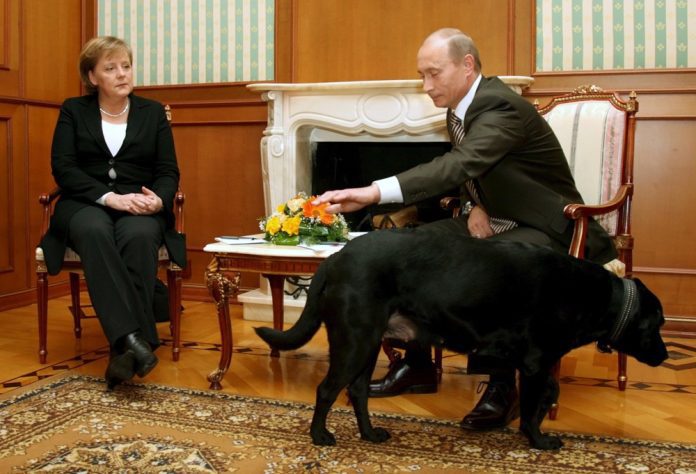 Vladimiras Putinas oficialaus susitikimo su Angela Merkel 2007-aisiais metu atsivedė savo augintinį labradorą / EPA nuotr.