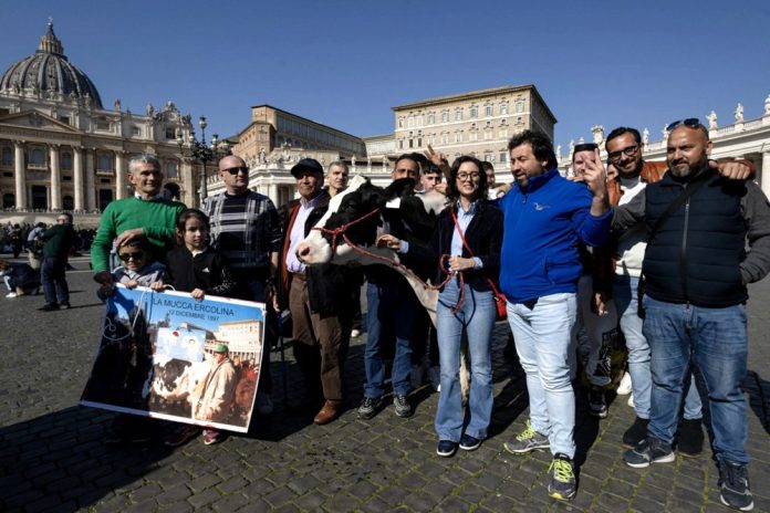 Italijos ūkininkai į Vatikaną vyko gauti gyvulių palaiminimą