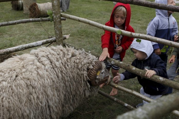 Estija, kaip ir daugelis kitų šalių, susiduria su mažu gimstamumu